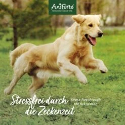 Aniforte Zecken Schild (35 Bis 50kg) Für Große Hunde 60 Kapseln -Heimtierbedarf Rabatte 010a1fb0eff3b08c7c0fd6ddc69909abba0586dd 1444358 de DE 6b0465714e7043aa512f07a2e3a3c8a3a07d4c02oT8Ojy
