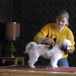 Moser Schermaschine REX -Heimtierbedarf Rabatte 0120e23cbbd117c6470fc3d502c620ab135274e4 b1f5e93e5a40034fedcce3cc2d556a96fa49d73f