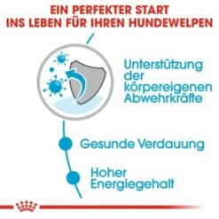 ROYAL CANIN Mini Puppy 12x85g -Heimtierbedarf Rabatte 0139aa756ebbdb17303bb24d05f22551b5717639 43c28f850f95a929626cad956e56a118b365a753