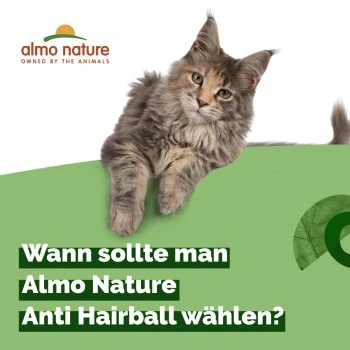 Almo Nature Almo Holistic Anti-Hairball 30x70g Mit Huhn 6 Almo Nature Almo Holistic Anti-Hairball 30x70g Mit Huhn â Bild 4