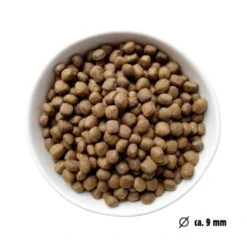 Eat Small EatSmall 10kg Mini Balance Trockenfutter -Heimtierbedarf Rabatte 022311929b7a668588c438a801ffcb397cc4f6a5 1450724 de DE ef1a1257b12edf1ce0a516e027bab83024c70daeCWb9u6