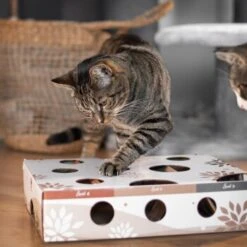 Canadian Cat Company Katzenspielzeug MagicBox -Heimtierbedarf Rabatte 02da4cbfc496df335a853eb94d9f018fd6216318 1361887 de DE dc762bf6d8a16f7c298440a482f9631bc4bf3ce312PGvZ