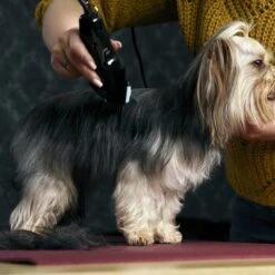 Moser Schermaschine Typ 1400 -Heimtierbedarf Rabatte 02df9a45ad10057f7cdfbb122412b44ddb24fd91 7c7f90f149fd71377858189c53a8f5cca4170f60