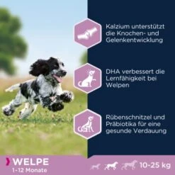 EUKANUBA Puppy Medium Breed Chicken 15 Kg 8 EUKANUBA Puppy Medium Breed Chicken 15 Kg -Heimtierbedarf Rabatte 03609ad35d7805efcb59e833e1bfdecb3a2dbdd8 1013180 de DE ask 3