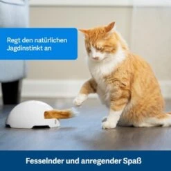 PetSafe Automatisches Katzenspielzeug Fox Den -Heimtierbedarf Rabatte 038232be25f9015ce160251d628e0af5cabbc69f 1351524 de DE dbeb3a30744bbc866a12a3ecd4f619007abf0a14xn8Dpf