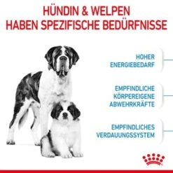 ROYAL CANIN Giant Starter 15kg -Heimtierbedarf Rabatte 04dba5b27937fabea6cdab520dec33c0ee4cbbf8 3182550778831 4