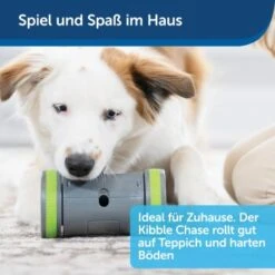 PetSafe Selbstbewegendes Belohnungsspielzeug Kibble Chase -Heimtierbedarf Rabatte 04ee16df08a1d0058720c3c24edae0b380a4f40b 1418726 de DE 98f77b1c14ebd5f386fc2520d6b8f5d2f621874avKV76L