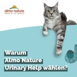 Almo Nature Almo Holistic Urinary Help 30x70g Mit Fisch 9 Almo Nature Almo Holistic Urinary Help 30x70g Mit Fisch -Heimtierbedarf Rabatte 060c8767b8c7969b21cac8aabe9818c799d04626 1479698 2 de