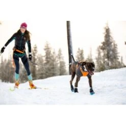 Ruffwear Cloud Chaser™ Hundejacke Schwarz XXS 22 Ruffwear Cloud Chaser™ Hundejacke Schwarz XXS -Heimtierbedarf Rabatte 06cfa3a745821d84428a1de78da0089ce33c0271 1369623 de DE 87163fc3e147e303fdf97d4ab87fd720c4f34a96nSWmMF