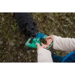 Ruffwear Pacific Ring™ Spielzeug Blau/ Türkis -Heimtierbedarf Rabatte 07365c8c03348a7be23ff66a31807695c41eac94 1444351 de DE bb2133baab48cb1d262b89fa47f175638eb3f7fcb9JpcH