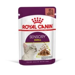 ROYAL CANIN SENSORY Smell In Soße Für Wählerische Katzen 12x85g -Heimtierbedarf Rabatte 0831273b1efeb8693331a5c2e046defef481723e 5ddc7d7ff0eceffaf4c82911502ec25ea90db777