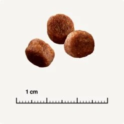 SELECT GOLD Digestion Senior Geflügel Und Reis 2,5kg -Heimtierbedarf Rabatte 0999645de19e34aac9b2c14ea642717fe4bc62d2 1001086008 de DE 6