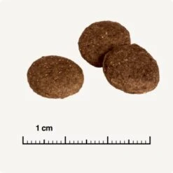 REAL NATURE Country Selection Andalusia Rind Mit Spanischem Kaninchen 12 Kg -Heimtierbedarf Rabatte 0a7fce7b39ad9a46e9b5bd24525cc5f14df99cb4 1325173 de DE 6