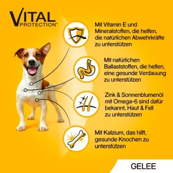 Pedigree Vital Multipack Portionsbeutel In Gelee 40x100g 5 Pedigree Vital Multipack Portionsbeutel In Gelee 40x100g – Bild 3