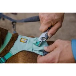 Ruffwear Double Track™ Koppler -Heimtierbedarf Rabatte 0c9b380322826e69b8d7026874e5a3bf29019fd2 1651544 de DE cd36202d4509250593f20b70187219a1da997b37dWFFqV