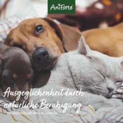 Aniforte Bachblüten Wohlfühl -Heimtierbedarf Rabatte 0cd967852dfdee41ec01be7a685b667875afe26e 1480464 de DE 560f89e516cd19f6fa4c035a9f065c2ddb1ab7432PWc6B