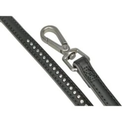 Bestseller -Heimtierbedarf Rabatte 0e4d429d6b4ea414d846414cdcf8df3e4e16e8cb 6aceb50234562dd2d2ccf3235be56a1e28ff6abe