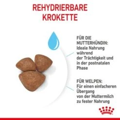 ROYAL CANIN Mini Starter 4 Kg -Heimtierbedarf Rabatte 0fda11790a7e5aba46647ddede0bb225f67516a6 2e349f3084f2f17a2ea2c0846a4c5757c02259b4