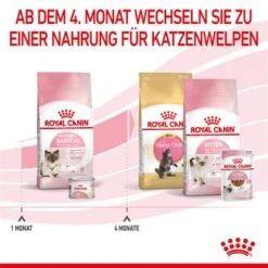ROYAL CANIN Mother & Babycat 2 Kg -Heimtierbedarf Rabatte 0fe8497acfc1380792b3bad8590087c6f2d67d34 3182550707329 6