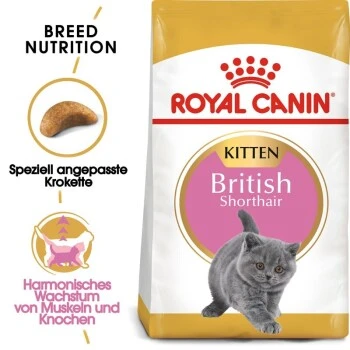 ROYAL CANIN British Shorthair Kitten 2 Kg 4 ROYAL CANIN British Shorthair Kitten 2 Kg – Bild 2