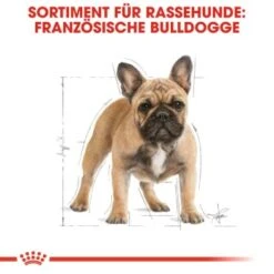 ROYAL CANIN Französische Bulldogge Adult 9 Kg -Heimtierbedarf Rabatte 1103d82fc7346a11a9ee81a9ab4bdcb41136307d 6122fbb549b8e1d90a8dc5cfef9eb2854b87768f