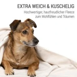 Doctor Bark Kuscheldecke Fleece Creme/ Beige M -Heimtierbedarf Rabatte 11789ea6a0726507b617d2c8d7f0015ea352f004 1658182 de DE 63bccf8f6d79914a689e0f11a0b6847bec51ba70deMQtE