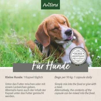Aniforte Zecken Schild (bis 10kg) Für Kleine Hunde 60 Kapseln 8 Aniforte Zecken Schild (bis 10kg) Für Kleine Hunde 60 Kapseln – Bild 6