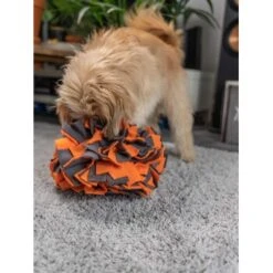 TrendPet Schnüffelball Orange -Heimtierbedarf Rabatte 150c7485ceb45f446eae94d286af034396b6b839 1347789 de DE 0d959a3cb36067968769c2d102a66fcc1f59a724hVebVb