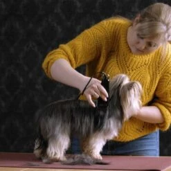 Moser Schermaschine Typ 1400 -Heimtierbedarf Rabatte 1559dc1580d12f0825069dc0425234fe0b455a1c 1f8a3eb831d5c4fcc001113b4dafee6e3054f4c4