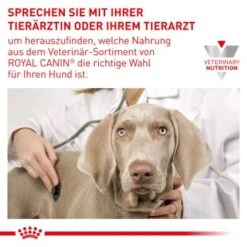 ROYAL CANIN Veterinary Dental 6 Kg -Heimtierbedarf Rabatte 16843fa032146fc66c5f1471f85011a53672ca20 1154390 de DE RC VET wb 6