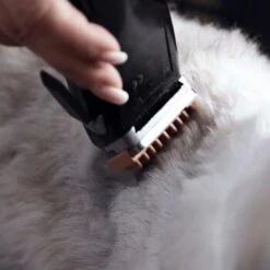 Moser Schermaschine REX -Heimtierbedarf Rabatte 1772a67d22493cedccf903dd1e91d7ff370d86f7 29185d9f269d8954e1525c804aae277033703d78