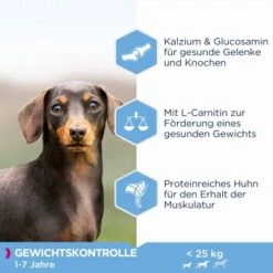EUKANUBA Weight Control Medium Breed 15kg -Heimtierbedarf Rabatte 18e35120e2a9e94cb09d99910095de348378ef64 1013178 de DE asf
