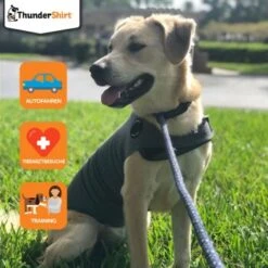 Heimtierbedarf Rabatte -Heimtierbedarf Rabatte 19017f70617a0341d47701df3a6f0864f0a14cd6 1102942 1