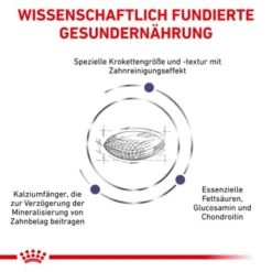 ROYAL CANIN Veterinary Dental 6 Kg -Heimtierbedarf Rabatte 19aec4add9f961a7e03c5ed6261d28e19682e7c4 1154390 de DE RC VET wb 3