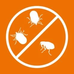 Ardap Zecken- & Floh-Halsband Für Hunde M 19 Ardap Zecken- & Floh-Halsband Für Hunde M -Heimtierbedarf Rabatte 1bc61f7f2a6b5fad74935e26e6e291a622b94e71 1221081 de DE 216402434a597a152b5e3e2d02d3c041c3a61282i3TU7T