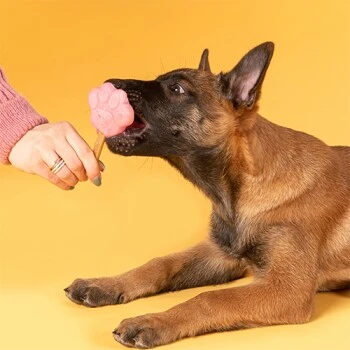 Smoofl Starterkit Für Welpen 4 Smoofl Starterkit Für Welpen – Bild 2