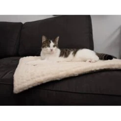 TrendPet Heaven Gefütterte Liegedecke Beige XS -Heimtierbedarf Rabatte 1cbcc70fb52cad4d647f2839fe0bd973c70c3194 1247692 de DE afe399b6e05ab9a3bb6e2580fd9749db565c2c4d5SMNrr