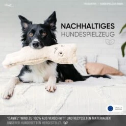 Freudentier Nachhaltiges Hundespielzeug Daniel -Heimtierbedarf Rabatte 1d76f528eae39671e4d1834457219c343008a2d3 1408970 de DE eaef6ecd52d3d4c991411f4325e77d342eb1ce7eIH205L