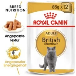 ROYAL CANIN British Shorthair 12x85g -Heimtierbedarf Rabatte 1d7b8380d4e181f02d0aba840dce1802da3c2da0 1229816 de DE rc2