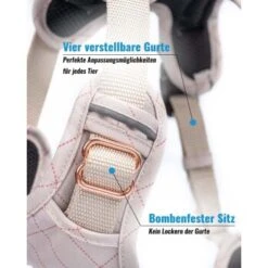 Freudentier Atmungsaktives Hundegeschirr S -Heimtierbedarf Rabatte 1dd9355121ce0163a42a010d21baed74f64fc74a 1429123 de DE eaed40f35bc949607914cfec8851ecbd487e6deaWGwQlp