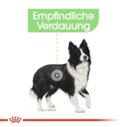 ROYAL CANIN Digestive Care Medium 12 Kg -Heimtierbedarf Rabatte 1e02a6b838f0788c7a008149b787240ab36ed38b 1376251 de DE uahs 4