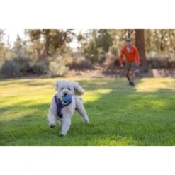 Ruffwear Huckama™ Spielzeug Violett -Heimtierbedarf Rabatte 1e25287ed59c30d76e9b799ca71232e607c6932b 1639706 de DE 4cde75bd4ef04e9f936b40473471e71f69a39443R9gkOp