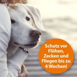 Ardap Flohspray Zur Anwendung Am Tier 250ml -Heimtierbedarf Rabatte 1e38b7747570a91b3fd009f3974005664ac2d015 1227735 de DE 3ce23e78efb3686272f02c09e5ca6ade74ba7902gmBWUo