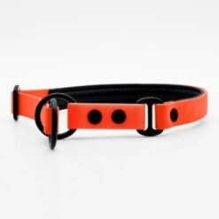 THE DOG IDEA Zugstopp Halsband Orange XS 11 THE DOG IDEA Zugstopp Halsband Orange XS -Heimtierbedarf Rabatte 1ed8fefef63b371ec4cda43f60e91d6f1ca94f50 1499712 de DE a31f6753e5b48355b1f0f63cd519e5adcd14cfd067hyQ3
