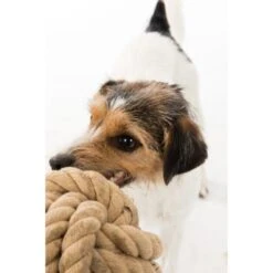 Trixie BE NORDIC Tau-Ball 18cm -Heimtierbedarf Rabatte 1f7fb2f6aa41b9eda5c2948d6d177e65789848a0 1317741 de DE Trixie be nordic Tau Ball wb 2