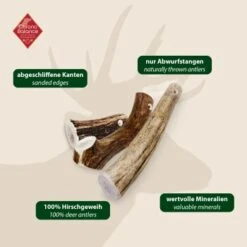 ChronoBalance Geweih Ganz (XL) 2er Paket -Heimtierbedarf Rabatte 227b4896b023f1721ec9ccfcda37ed549cced470 1418693 de DE 97f6faa2e066481717c6e9970bb381a3824303b8vU2fW5