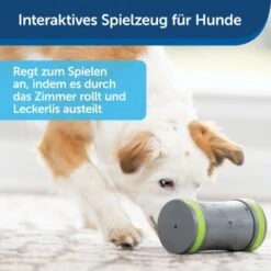 PetSafe Selbstbewegendes Belohnungsspielzeug Kibble Chase -Heimtierbedarf Rabatte 232030f86f814de36b46e922b9019b2a80aa0a4a 1418726 de DE cabfebb8ef64f9f8a7009d6c5080cb046558ff00b0jRo2