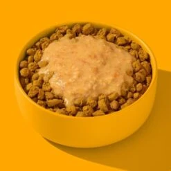 Fred & Felia FRED Smoothie Huhn Mit Kurkuma 10 X 200g -Heimtierbedarf Rabatte 236bc2fb7203a95703c196a9d37d1a264cc266a0 1428005 de DE 1d687c6cc508a78e5eeee2cd9e468729594e5ec1PmlLMC