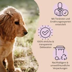 FAVLY Petfood PURE Bites Hirsch 360 G -Heimtierbedarf Rabatte 236dbc85f5fb75ec5fb4367bde1445e3087ffdcd 1474003 de DE 80624b888460a5c29f043365a19496292e44fd84TlIvR8