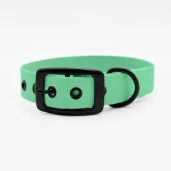THE DOG IDEA Biothane Halsband Mint Schwarz XS -Heimtierbedarf Rabatte 25cf8844167d35dc6a0ede8247bd0c1c48926912 1679203 de DE 5dfc334cca991c733ec62b12b4247e7b946f4cb7XO7Lzj